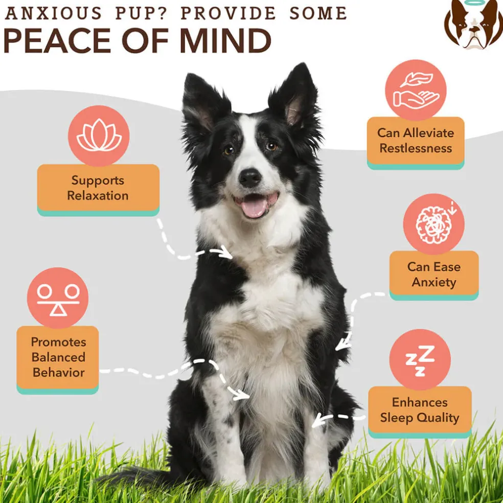 Natural Dog Company Calming Soft Chews for Dogs (90 Chews)