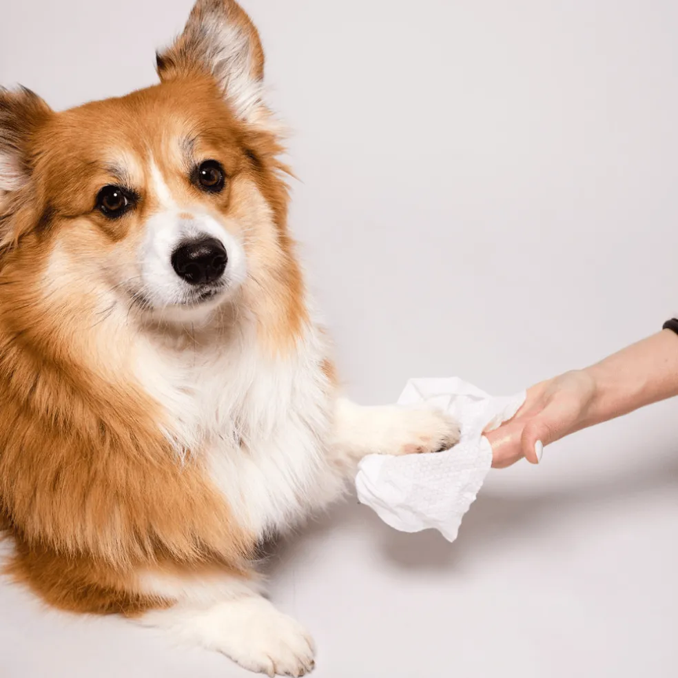 Natural Dog Company Extra Large Grooming Wipes (50 wipes)