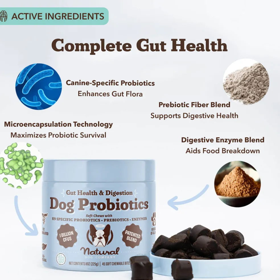 Natural Dog Company Gut Health & Digestion Dog Probiotics (45 Soft Chews)
