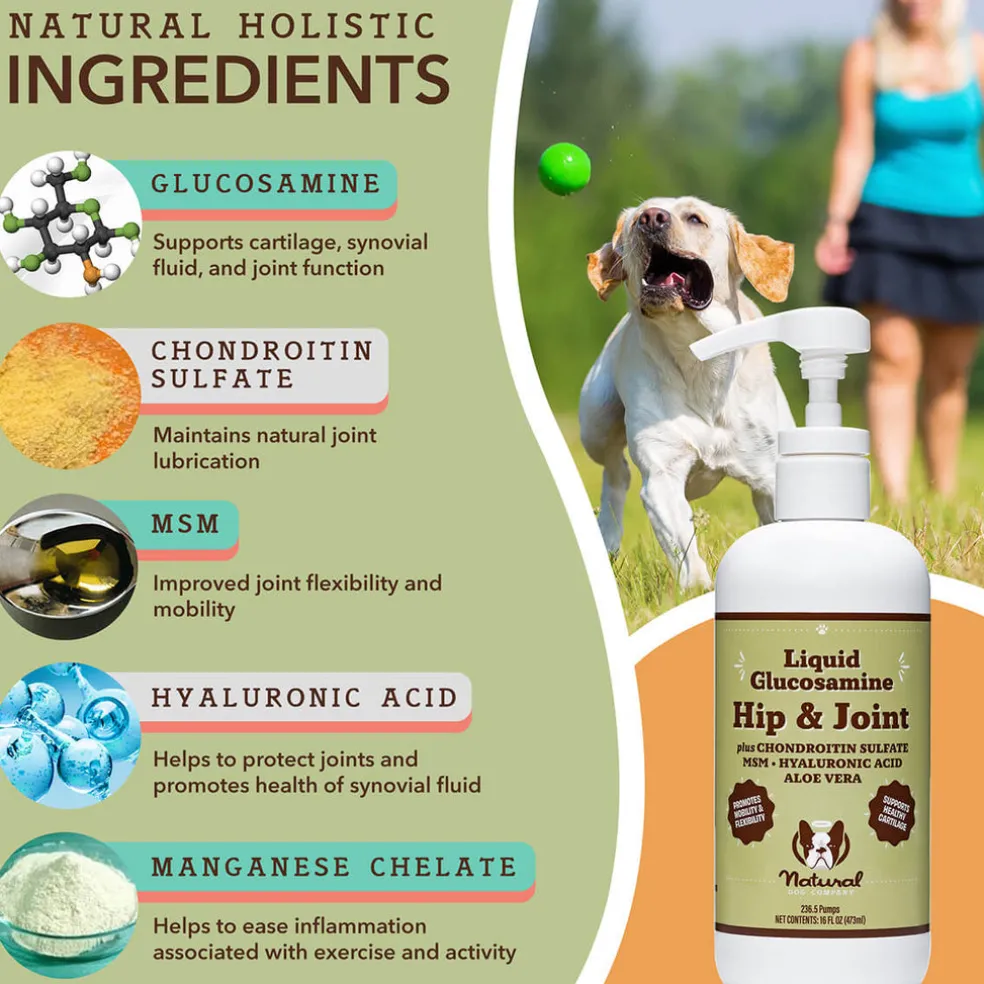 Natural Dog Company Liquid Glucosamine Hip & Joint Liquid Supplement (16 oz)