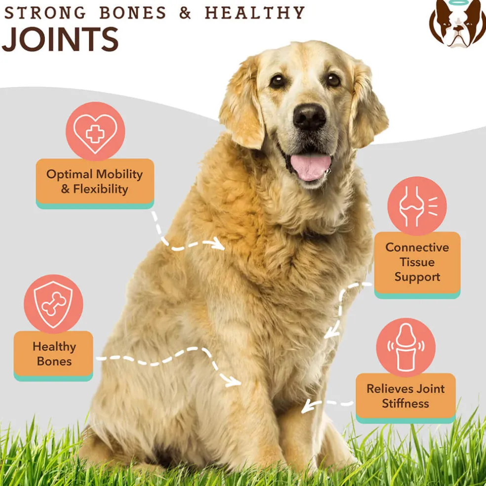 Natural Dog Company Liquid Glucosamine Hip & Joint Liquid Supplement (16 oz)