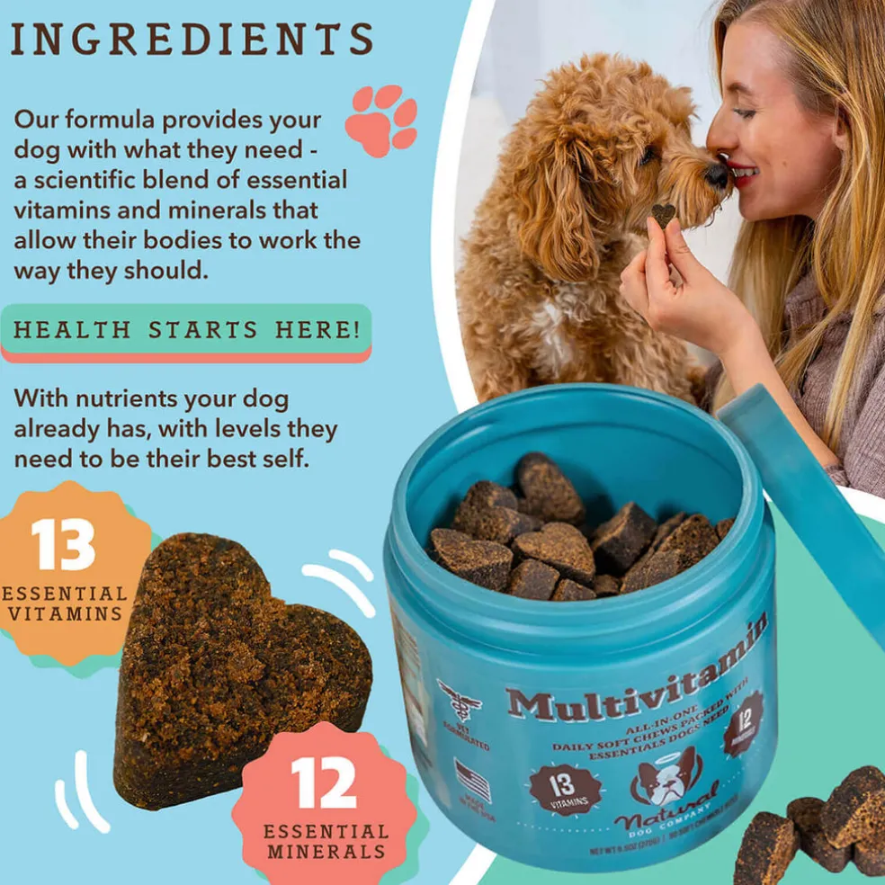 Natural Dog Company Multivitamin All-In-One Soft Chews for Dogs (90 Chews)
