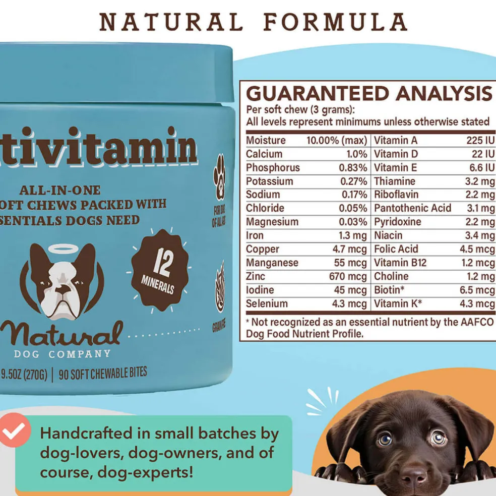 Natural Dog Company Multivitamin All-In-One Soft Chews for Dogs (90 Chews)
