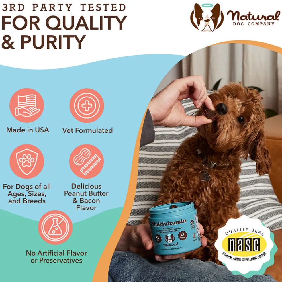 Natural Dog Company Multivitamin All-In-One Soft Chews for Dogs (90 Chews)