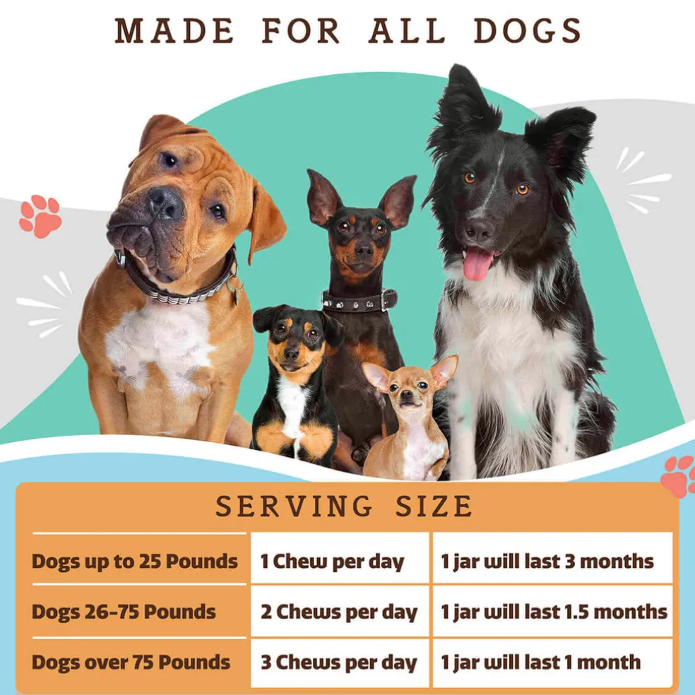 Natural Dog Company Multivitamin All-In-One Soft Chews for Dogs (90 Chews)