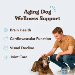 Natural Dog Company Senior Support with Adaptogens, Antioxidant, & Amino Acids (90 soft chews)
