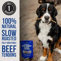 Natural Rapport The Only Beef Tendon Chews Dogs Need