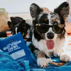 Natural Rapport The Only Beef Tendon Chews Dogs Need