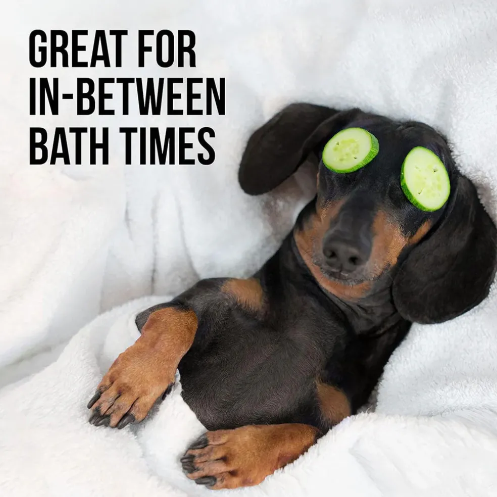 Natural Rapport The Only Between Bath Spray Dogs Need (8 oz)