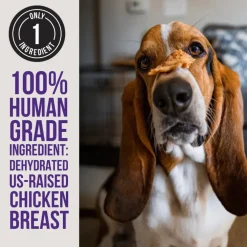 Natural Rapport The Only Dehydrated Chicken Jerky Dogs Need