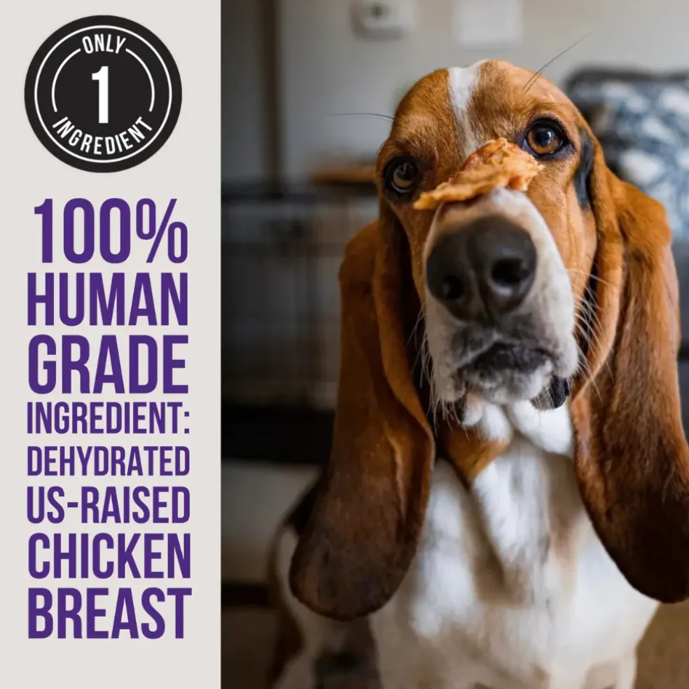 Natural Rapport The Only Dehydrated Chicken Jerky Dogs Need