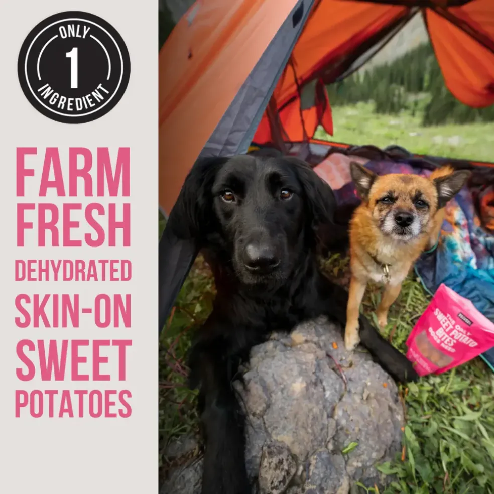 Natural Rapport The Only Dehydrated Sweet Potato Bites Dogs Need