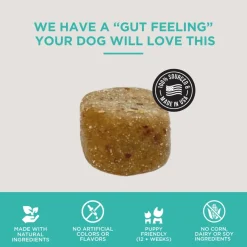 Natural Rapport The Only Digestive Support Soft Chews Dogs Need Digestive Supplement