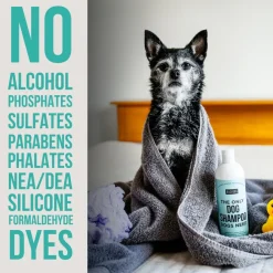 Natural Rapport The Only Dog Shampoo Dogs Need