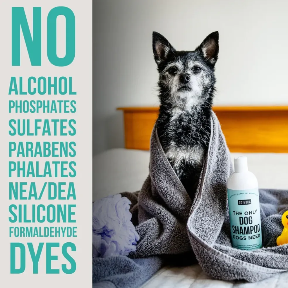 Natural Rapport The Only Dog Shampoo Dogs Need