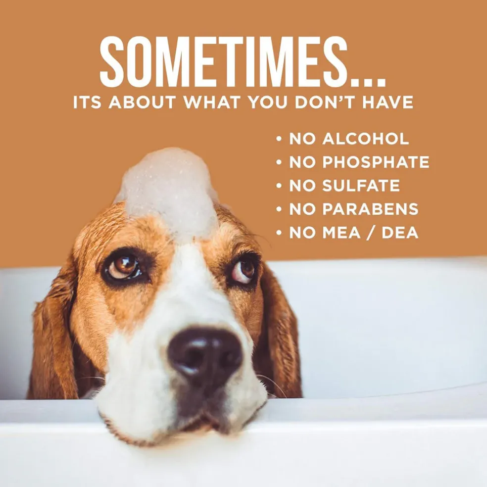 Natural Rapport The Only Dog Shampoo Dogs Need