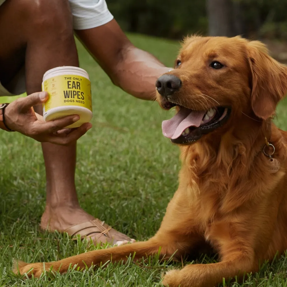 Natural Rapport The Only Ear Wipes Dogs Need, 100 count