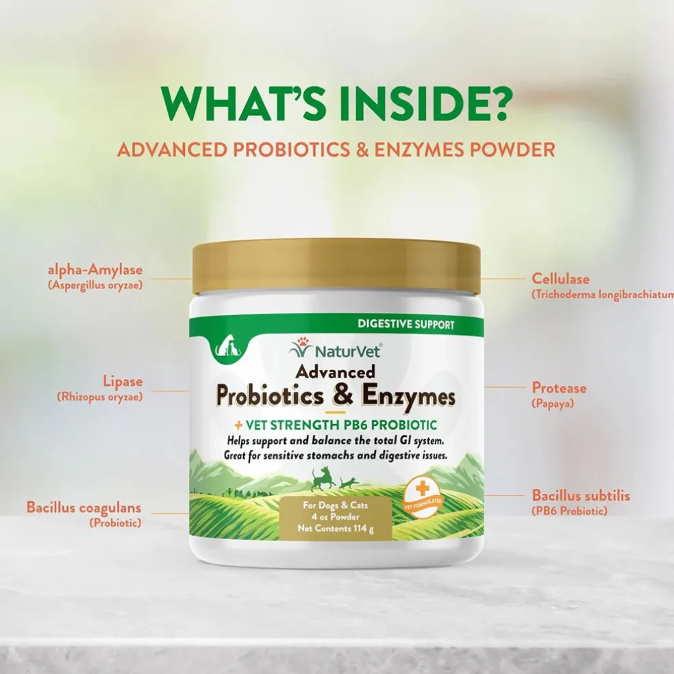 NaturVet Advanced Probiotic & Enzymes Powder with Vet Strength PB6 Probiotic for Dogs & Cats
