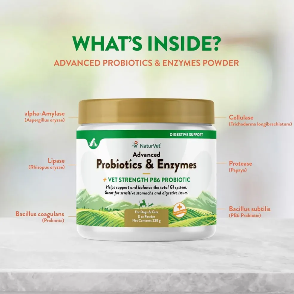 NaturVet Advanced Probiotic & Enzymes Powder with Vet Strength PB6 Probiotic for Dogs & Cats
