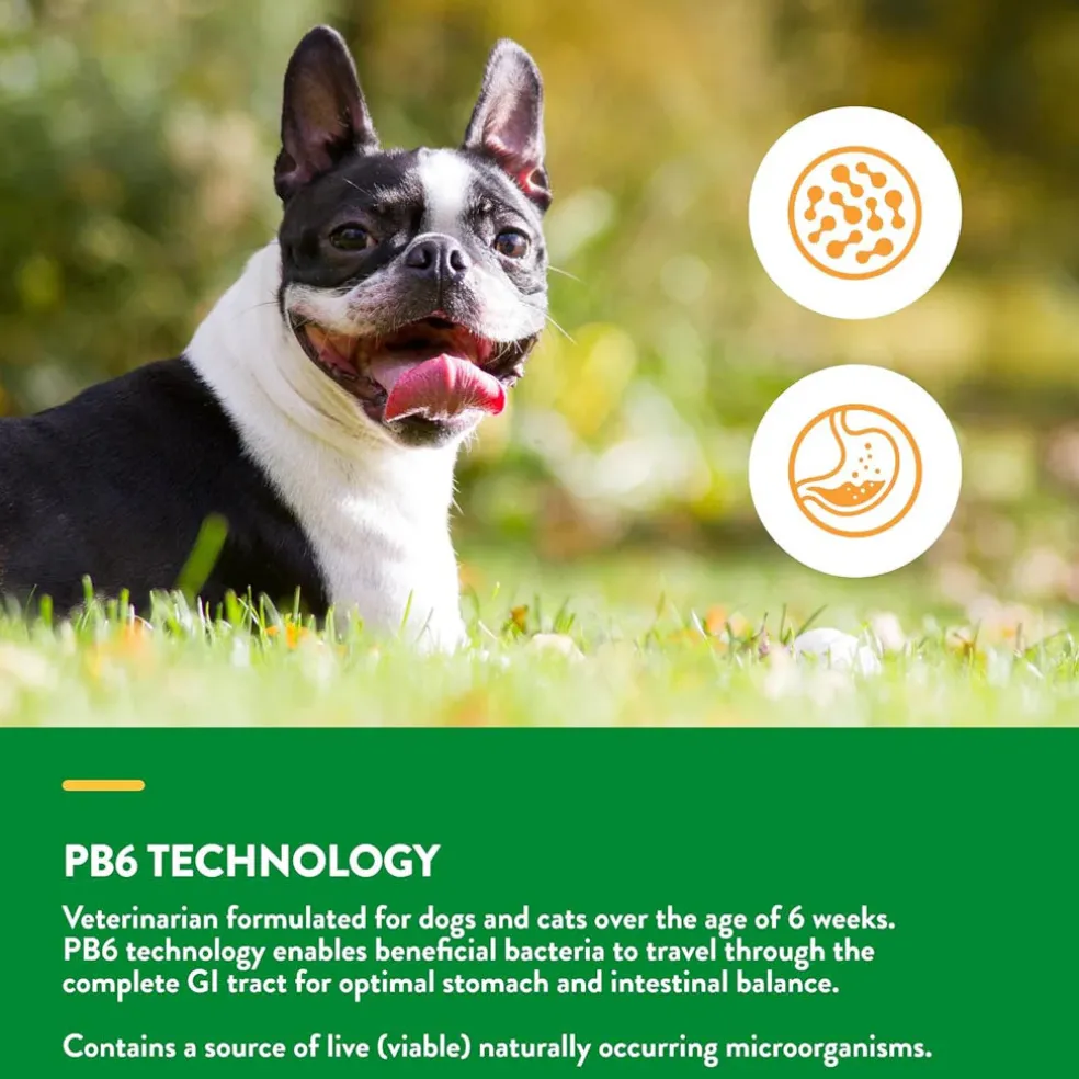 NaturVet Advanced Probiotic & Enzymes Powder with Vet Strength PB6 Probiotic for Dogs & Cats