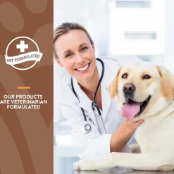 NaturVet All-In-One Daily Esentials Plus 4-in-1 Support for Dogs, 60 soft chews