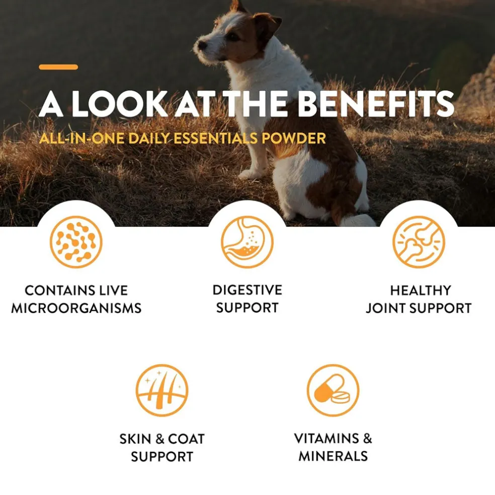 NaturVet All-In-One Daily Essentials Powder Plus 4-in-1 Support for Dogs & Cats, 13-oz