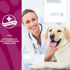 NaturVet ArthriSoothe Gold Advanced Joint Care Level 3 Soft Chew for Dogs & Cats