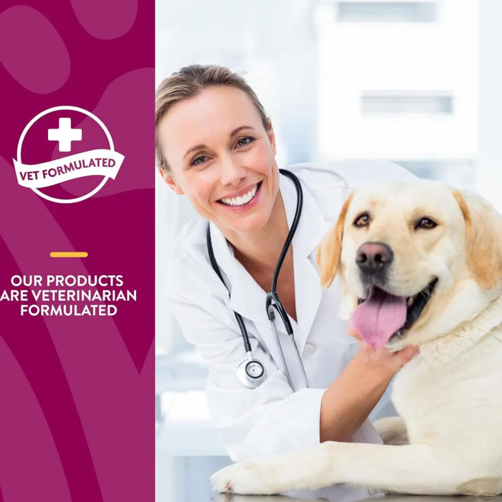 NaturVet ArthriSoothe Gold Advanced Joint Care Level 3 Soft Chew for Dogs & Cats