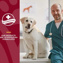 NaturVet Bladder Support Daily Maintenance with Cranberry Soft Chews for Dogs, 60 count