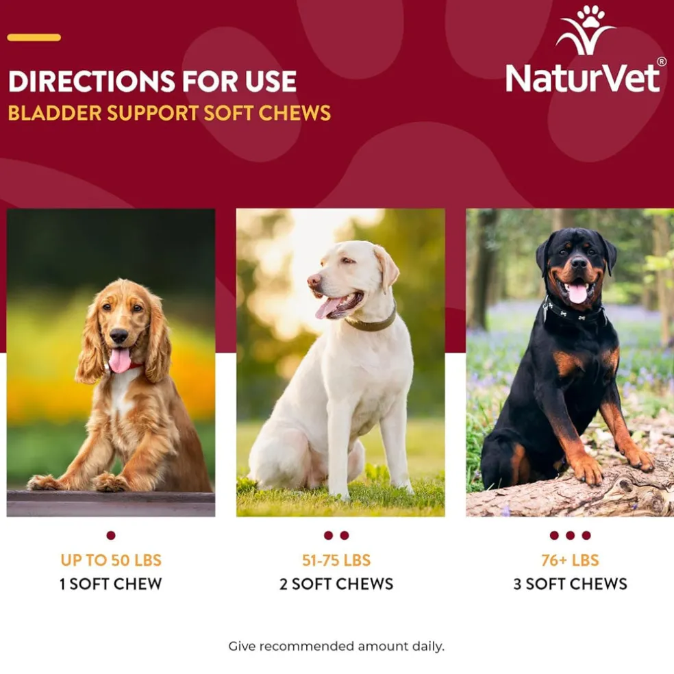 NaturVet Bladder Support Daily Maintenance with Cranberry Soft Chews for Dogs, 60 count
