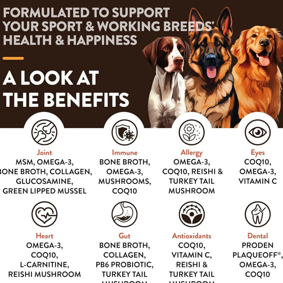 NaturVet Breed Specific Sport & Working Breeds Supplement Soft Chews for Dogs, 50 count