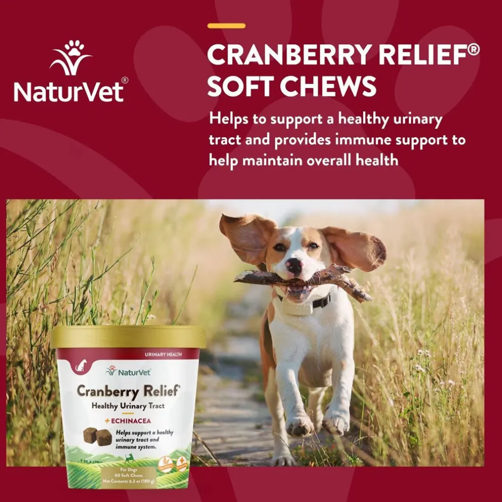 NaturVet Cranberry Relief Plus Echinacea Soft Chew Urinary Supplement for Dogs, 60 count