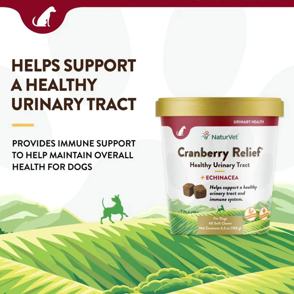 NaturVet Cranberry Relief Plus Echinacea Soft Chew Urinary Supplement for Dogs, 60 count