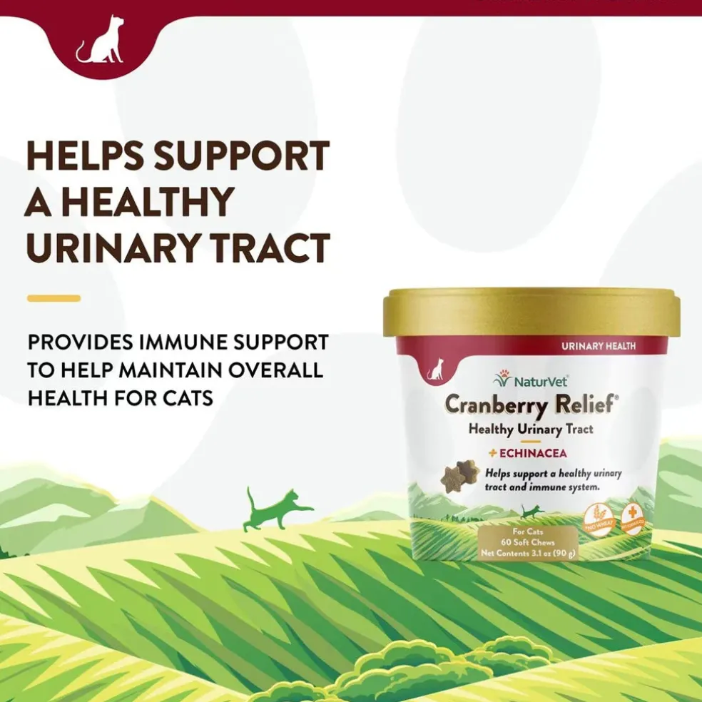 NaturVet Cranberry Relief Plus Echinacea Soft Chew Urinary Supplement for Cats, 60 count