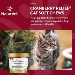 NaturVet Cranberry Relief Plus Echinacea Soft Chew Urinary Supplement for Cats, 60 count