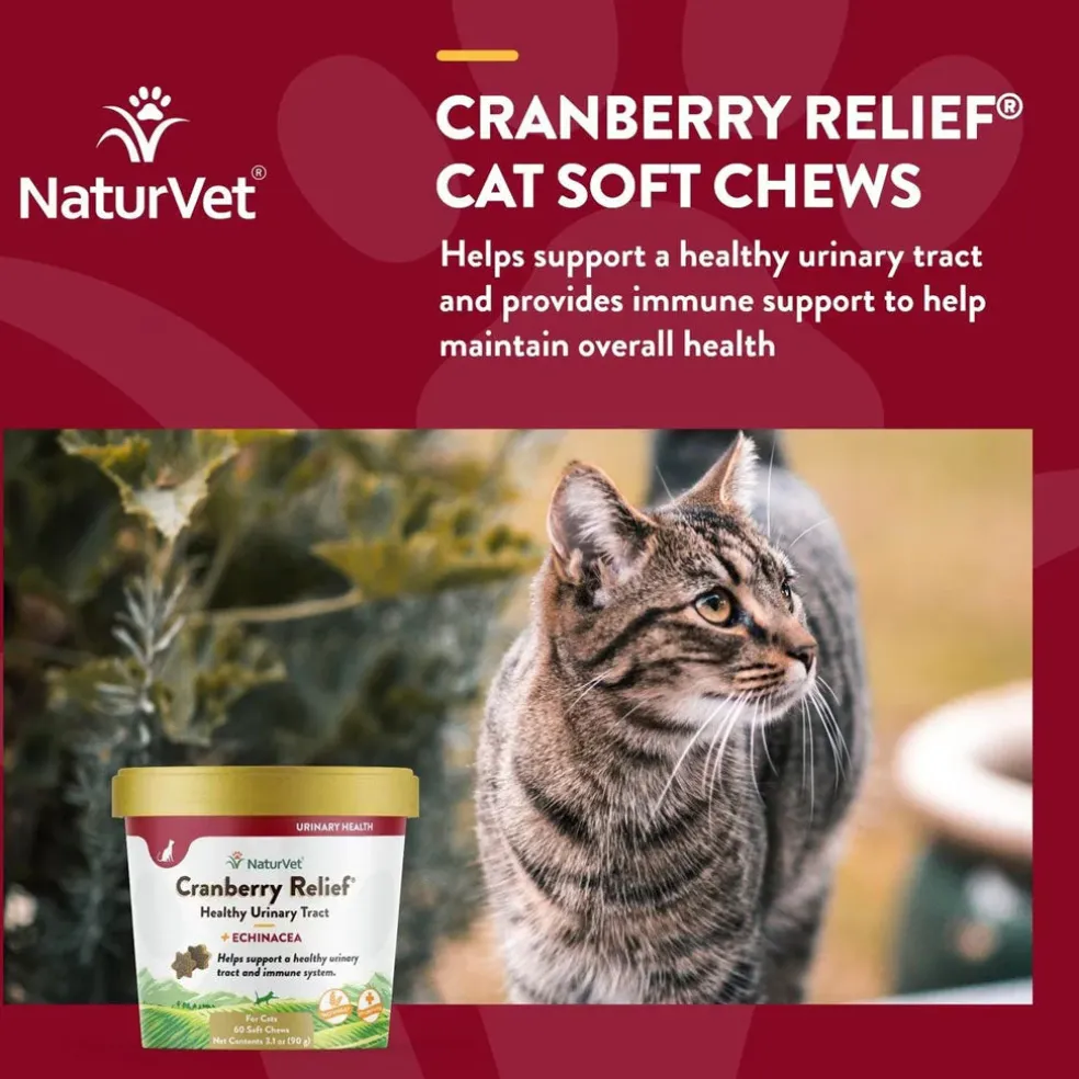 NaturVet Cranberry Relief Plus Echinacea Soft Chew Urinary Supplement for Cats, 60 count