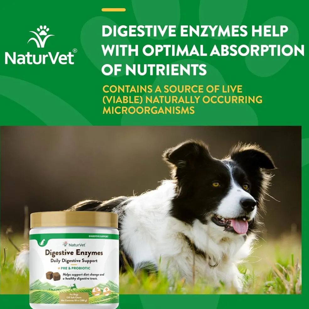 NaturVet Digestive Enzymes Soft Chews Daily Digestive Support Plus Pre & Probiotic for Dogs, 120 count