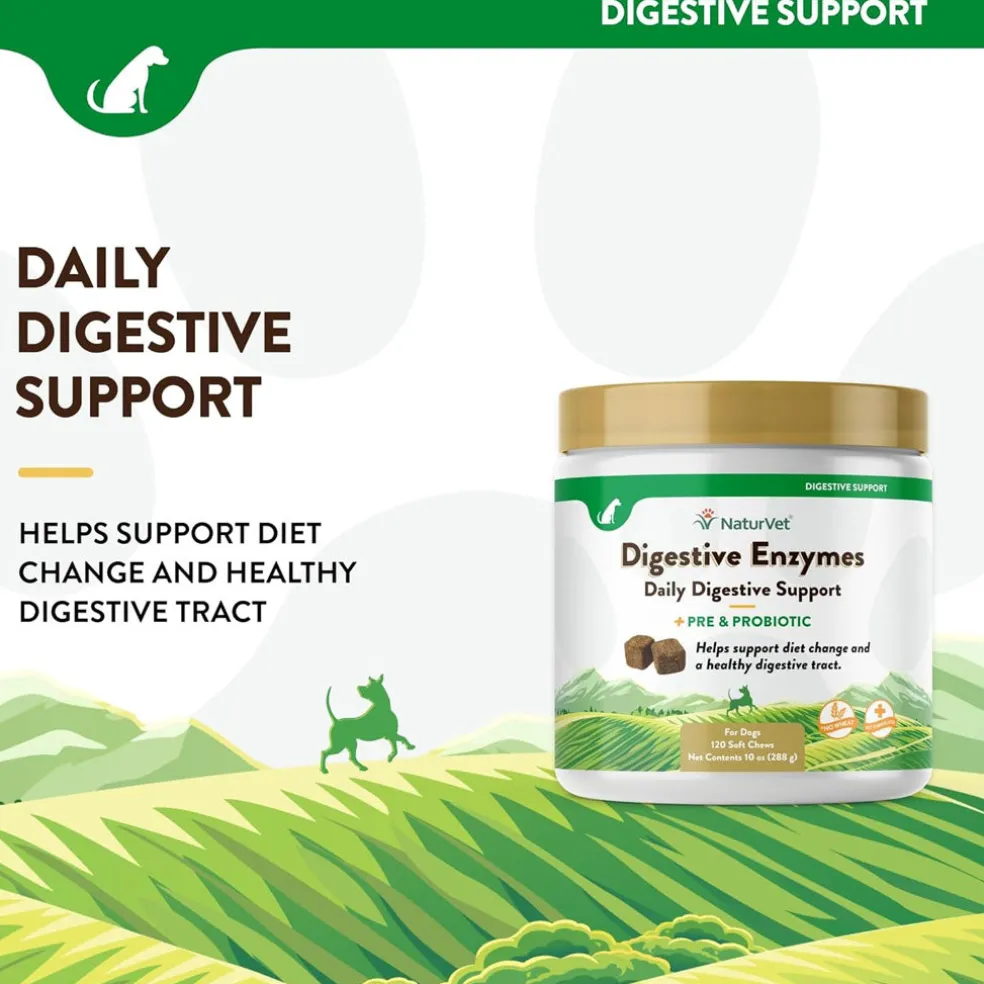 NaturVet Digestive Enzymes Soft Chews Daily Digestive Support Plus Pre & Probiotic for Dogs, 120 count