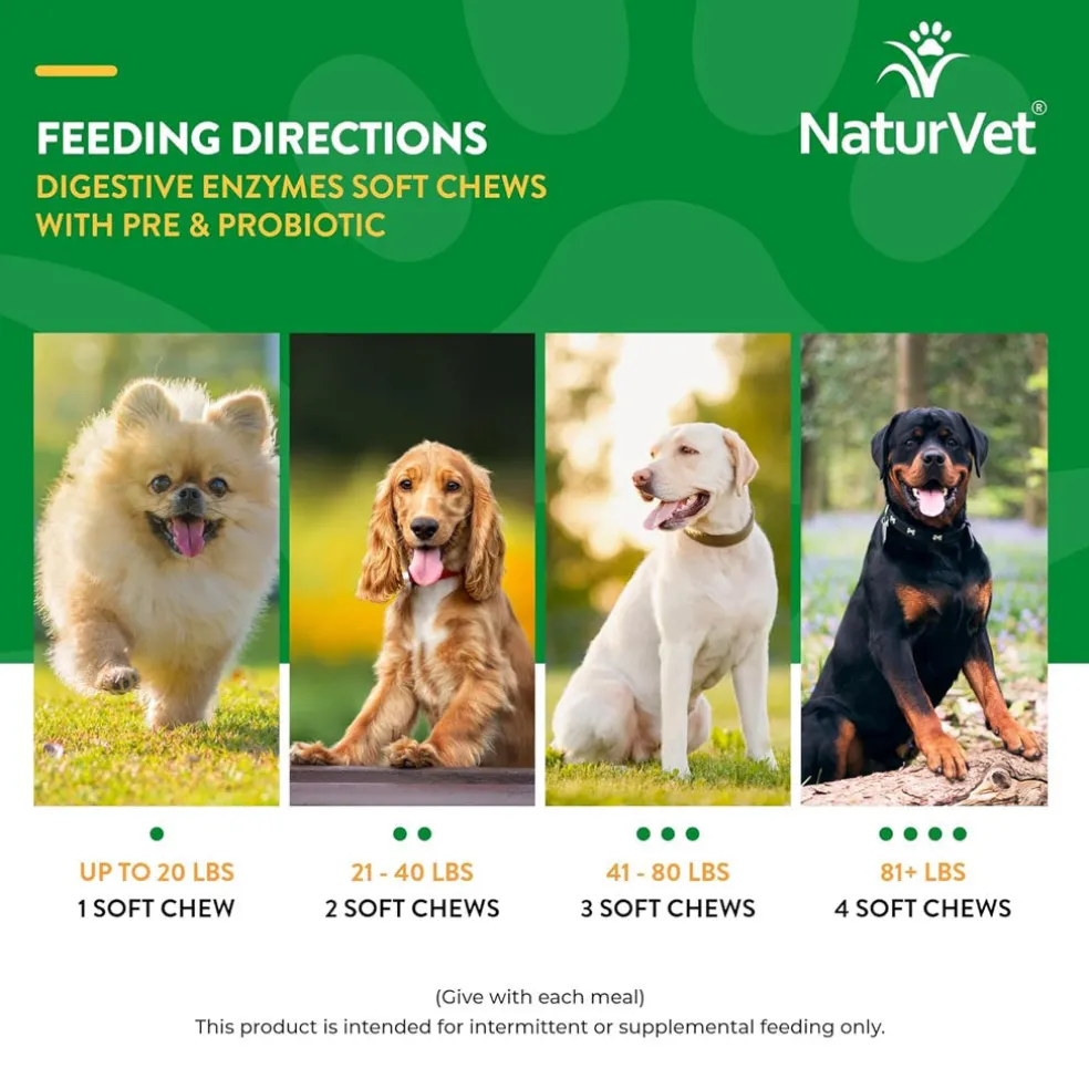 NaturVet Digestive Enzymes Soft Chews Daily Digestive Support Plus Pre & Probiotic for Dogs, 120 count