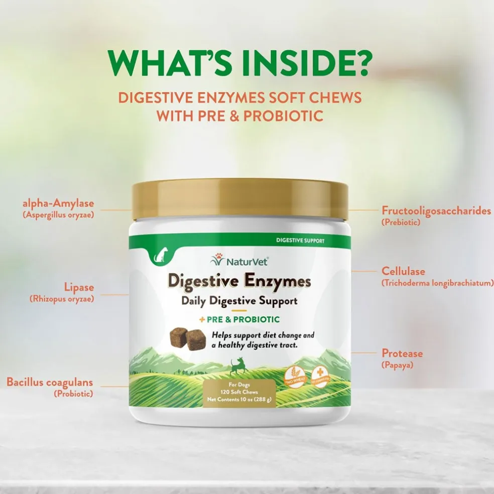 NaturVet Digestive Enzymes Soft Chews Daily Digestive Support Plus Pre & Probiotic for Dogs, 120 count