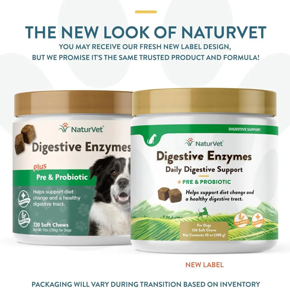 NaturVet Digestive Enzymes Soft Chews Daily Digestive Support Plus Pre & Probiotic for Dogs, 120 count