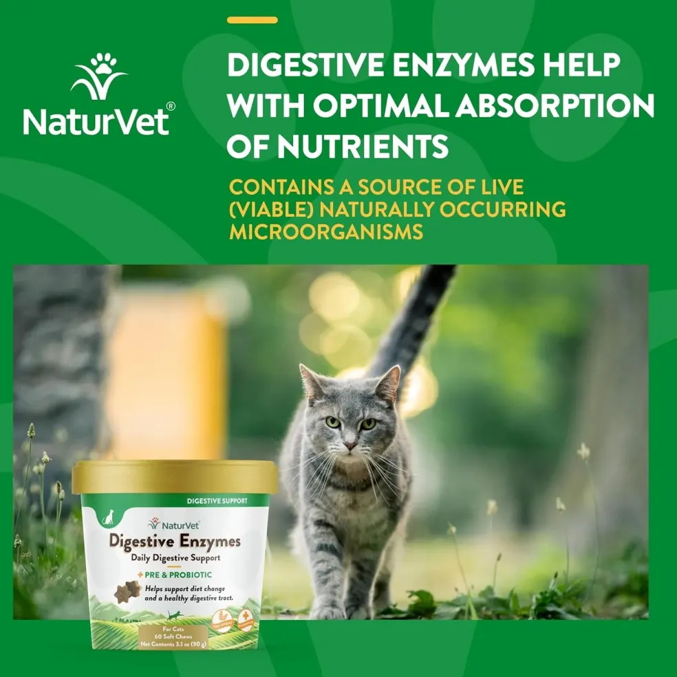 NaturVet Digestive Enzymes Soft Chews Daily Digestive Support with Pre & Probiotic for Cats, 60 count