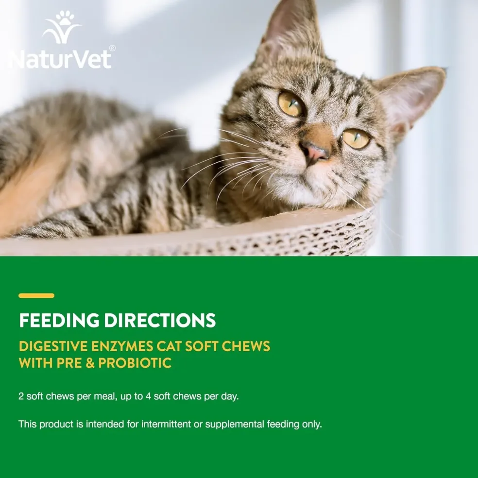 NaturVet Digestive Enzymes Soft Chews Daily Digestive Support with Pre & Probiotic for Cats, 60 count