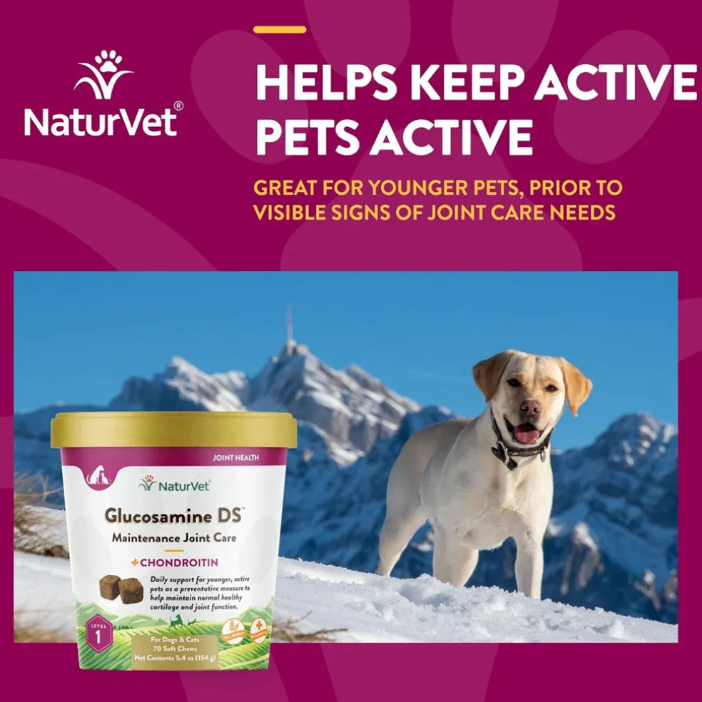 NaturVet Glucosamine DS Level 1 Soft Chews with Chondroitin for Dogs & Cats, 70 count