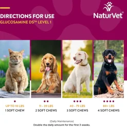 NaturVet Glucosamine DS Level 1 Soft Chews with Chondroitin for Dogs & Cats, 70 count