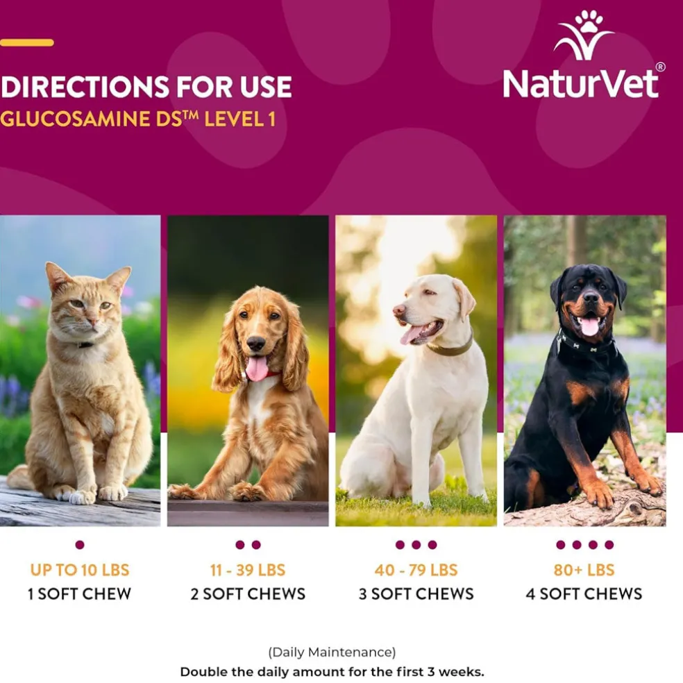 NaturVet Glucosamine DS Level 1 Soft Chews with Chondroitin for Dogs & Cats, 70 count