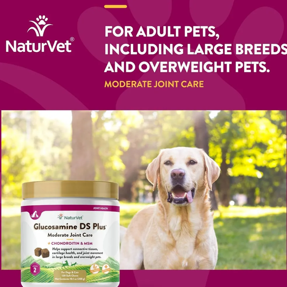NaturVet Glucosamine DS Plus Level 2 Soft Chews with Chondroitin & MSM for Dogs & Cats