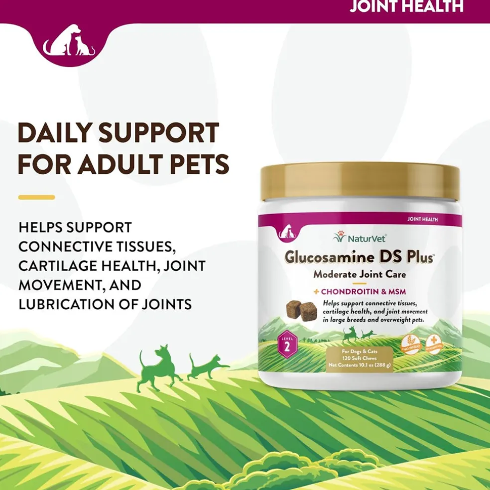 NaturVet Glucosamine DS Plus Level 2 Soft Chews with Chondroitin & MSM for Dogs & Cats