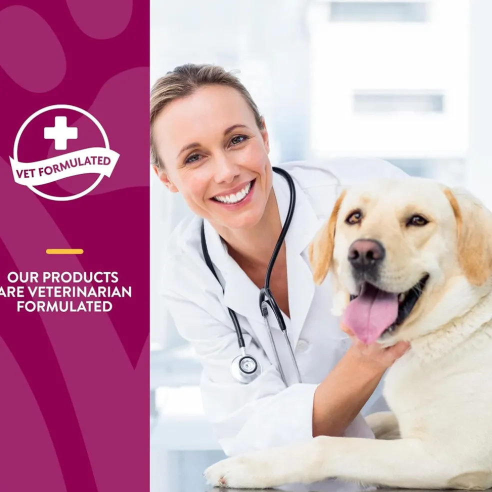 NaturVet Glucosamine DS Plus Level 2 Soft Chews with Chondroitin & MSM for Dogs & Cats