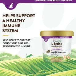 NaturVet L-Lysine Immune Support + Antioxidants Soft Chews for Cats, 60 count
